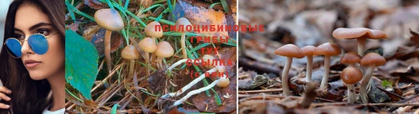 соль ск Киренск