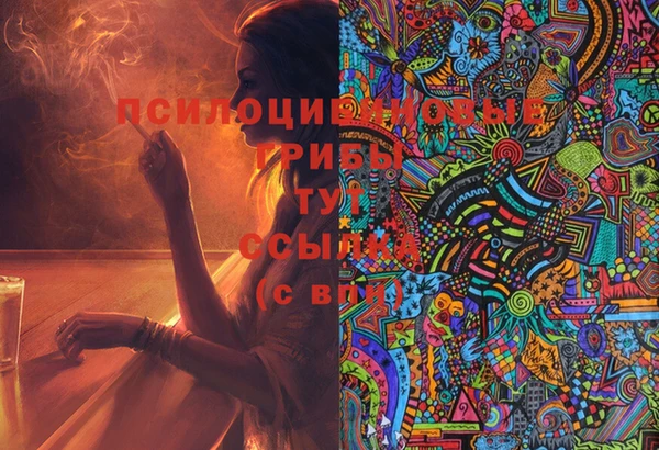 spice Козельск